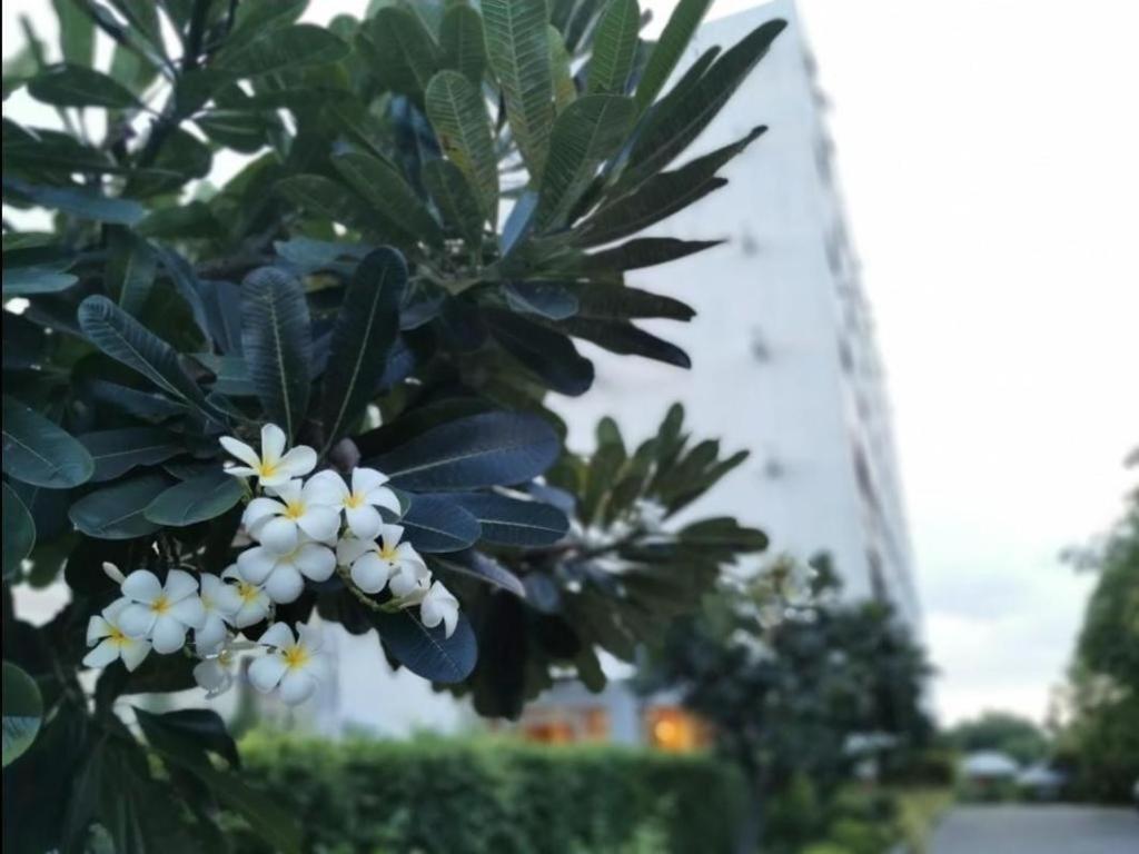芭堤雅帕克酒店 芭達亞 外观 照片